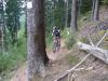 Molleke-20140915151621