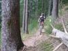 Molleke-20140915151639
